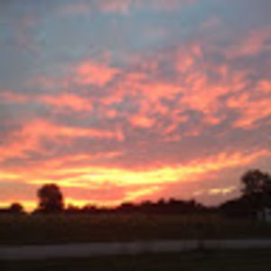 Meet your Posher, Tammie